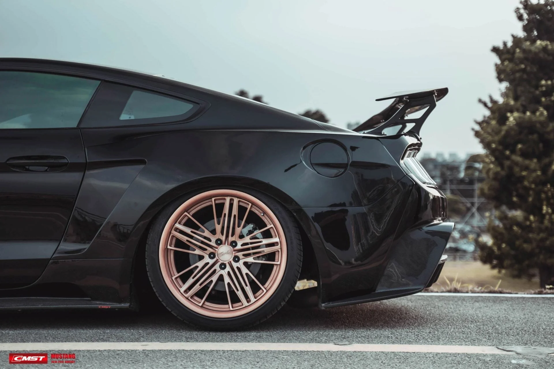 CMST Carbon Fiber Widebody kit for Ford Mustang S550.2 2018-ON - Image 11
