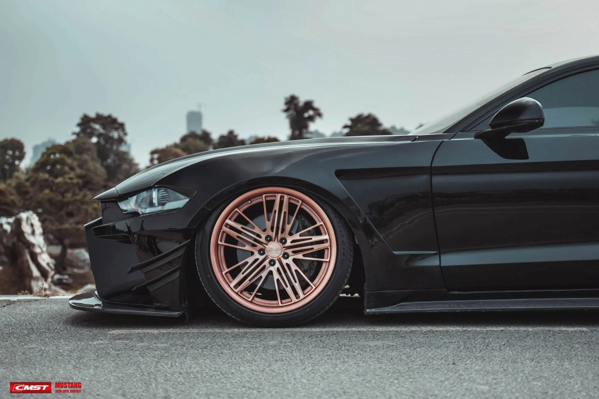 CMST Carbon Fiber Widebody kit for Ford Mustang S550.2 2018-ON - Image 21