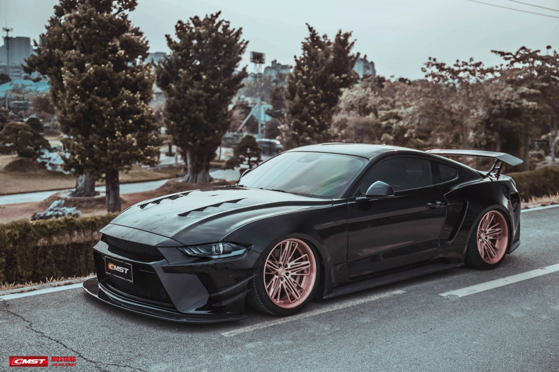 CMST Carbon Fiber Widebody kit for Ford Mustang S550.2 2018-ON - Image 24
