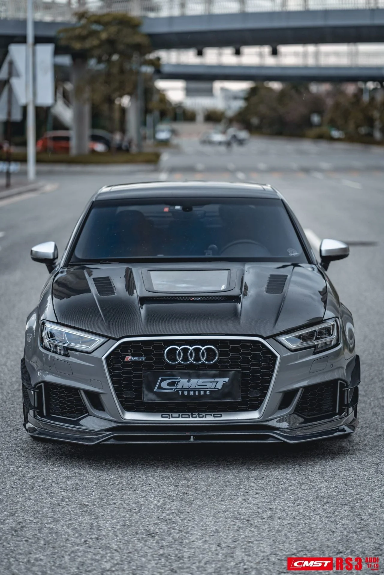 CMST Tuning Carbon Fiber Body Kit Package for Audi RS3 2018-2020 - Image 5