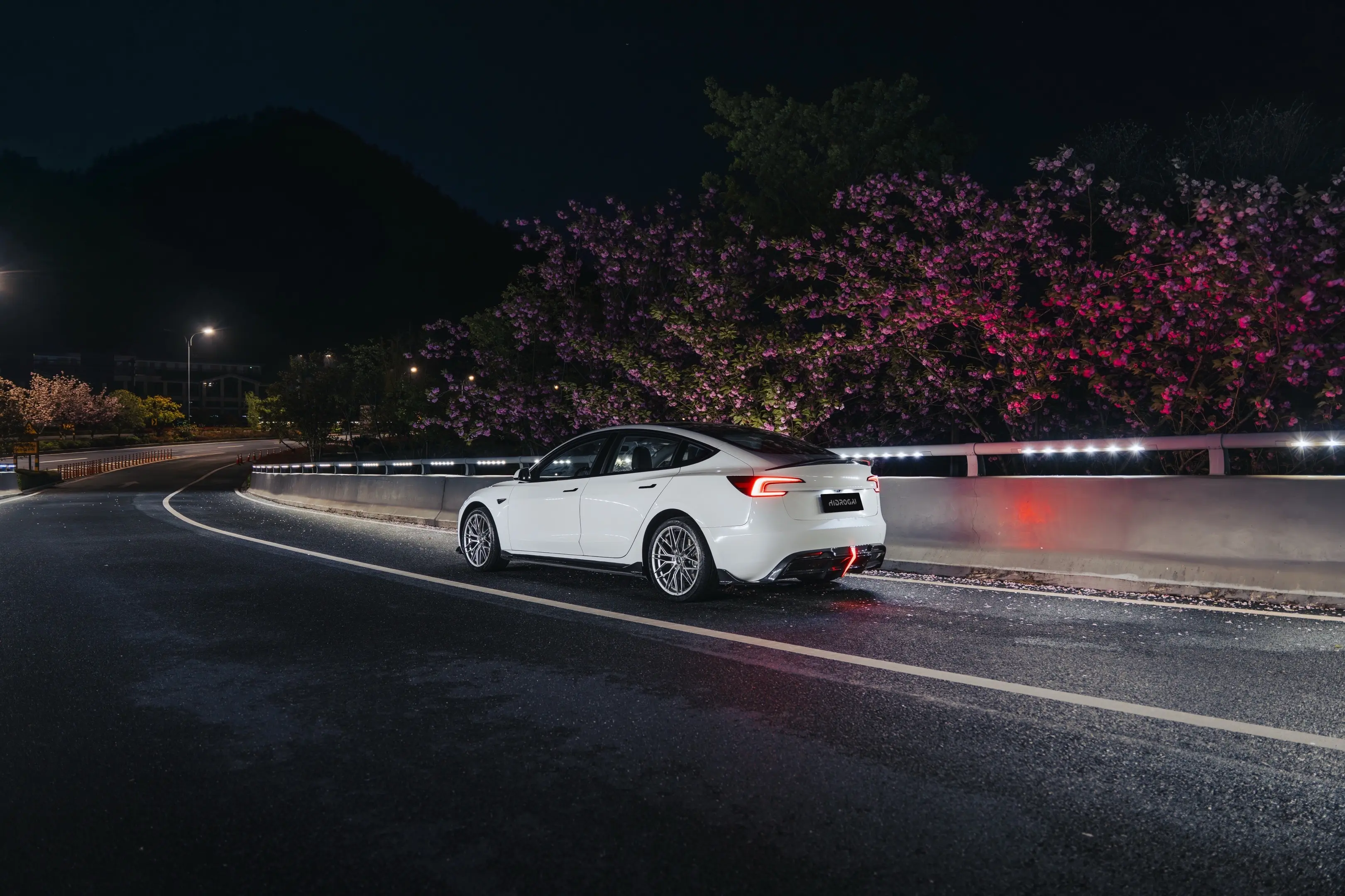 Robot Craftsman Tesla Model 3 Highland Lowline Bodykit (Hydrogai Series) SR & LR - Image 6